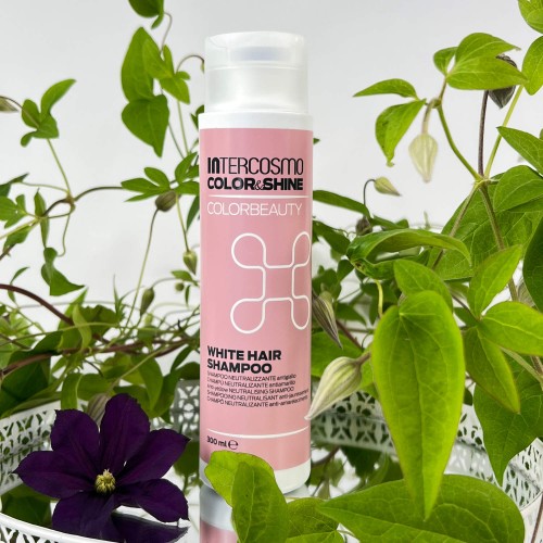 Szampon schładzający blond